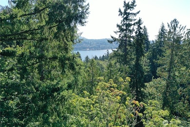 Possible Peak of Lake from top of property