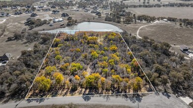 119 Chisum Dr, Millsap, TX 76066 - photo 5