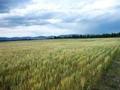 1961 Mccartney Rd, Grass Range, MT 59032 - photo 5