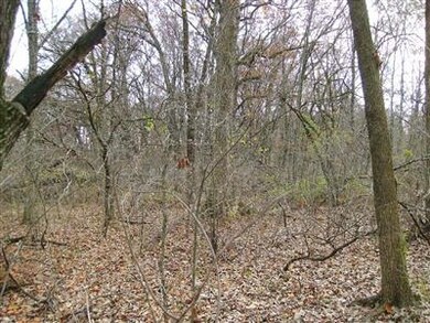 7801 W 121st Ave, Crown Point, IN 46307 - photo 6