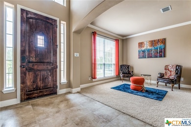 11507 Viridian Place, Helotes, TX 78023 - photo 3