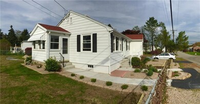 Landscaped 5 years ago, grew in nicely