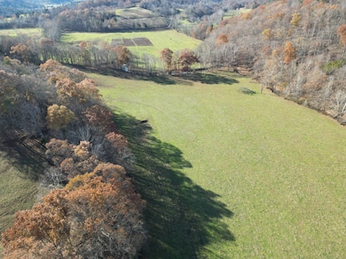 000 Cow Run, Cottageville, WV 25239 - photo 6