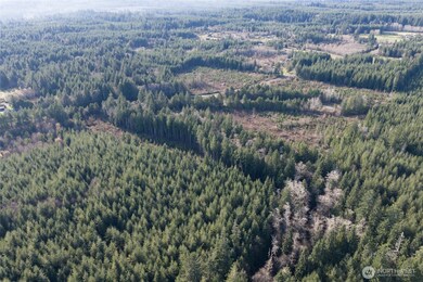 0 NKA Highway 101, Hoquiam, WA 98550 - photo 5