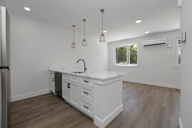 64 Alpine St unit 103, Boston, MA 02119 - photo 5