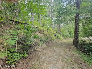 Entrance Drive to Lot - 1