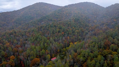 139 I U Gap Rd, Robbinsville, NC 28771 - photo 3