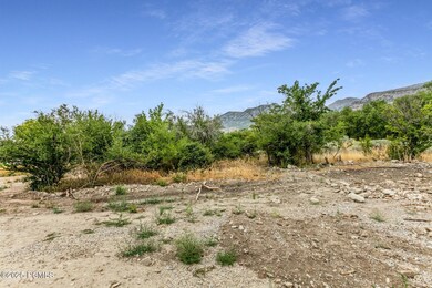 319 S 1100 E, Pleasant Grove, UT 84062 - photo 6