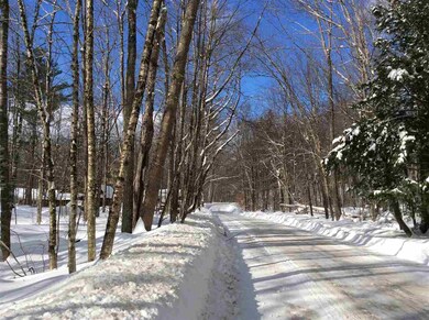 0 Jericho unit 4675486, Bartlett, NH 03812 - photo 7