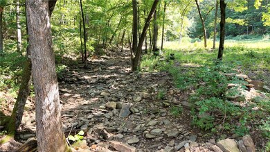 19.7 Acres Arkansas 156, West Fork, AR 72774 - photo 6