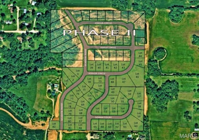 Lot 47 Joshua Cir, Columbia, IL 62236 - photo 3