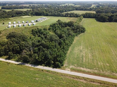 311 Tommie Moore Rd, Winnsboro, LA 71295 - photo 3