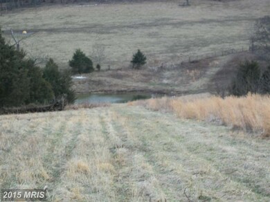 0 Cave Ridge Rd unit 1002898426, Mount Jackson, VA 22842 - photo 7