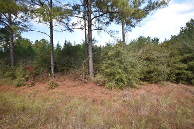 0 Bo Brown Rd unit 8177366, Trinity, TX 75862 - photo 2