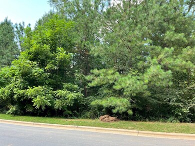 154 Colonial Trail, Pittsboro, NC 27312 - photo 7