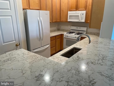 11314 Westbrook Mill Ln unit 302, Fairfax, VA 22030 - photo 6