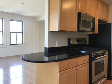 1 St George unit 3B, Boston, MA 02118 - photo 3