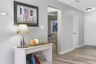 189 Avondale Dr unit 3, Branson, MO 65616 - photo 3