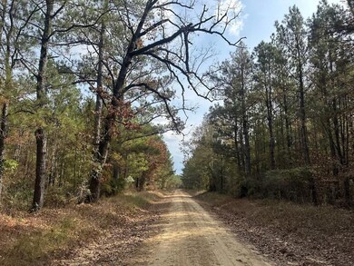 Ebenezer Tap Rd, Trout, LA 71371 - photo 4