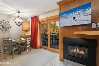 555 E Lionshead Cir unit 202, Vail, CO 81657 - photo 5