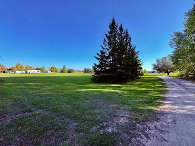 TBD 28th St NW, Baudette, MN 56623 - photo 4