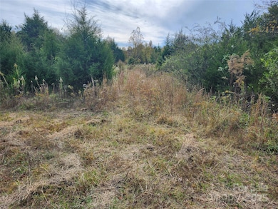 11706 N Carolina 73, Mount Pleasant, NC 28124 - photo 4