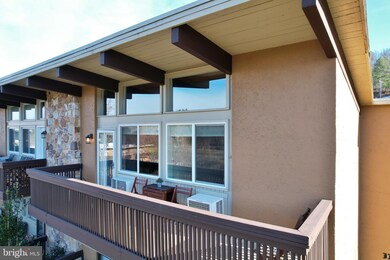 1814 Fairway Dr unit 338, Basye, VA 22810 - photo 7