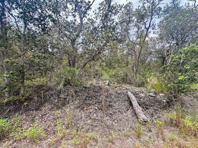 92-9130 Tree Fern Ln, Ocean View, HI 96737 - photo 4