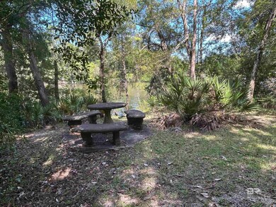 0 Liatrus Ln unit 12 384772, Seminole, AL 36574 - photo 2