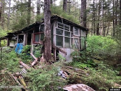 L13 E Channel Legal Address Only, Wrangell, AK 99929 - photo 2