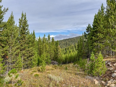 89 Summit, Big Sky, MT 59716 - photo 6