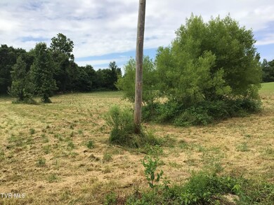 14 Deerwood Rd, Greeneville, TN 37743 - photo 3