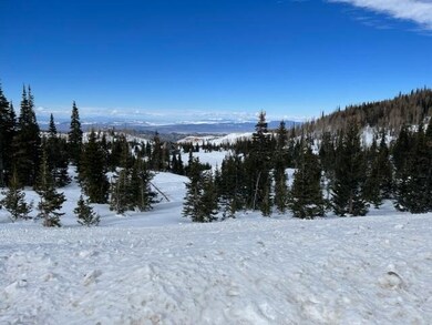 Lot 31 view
