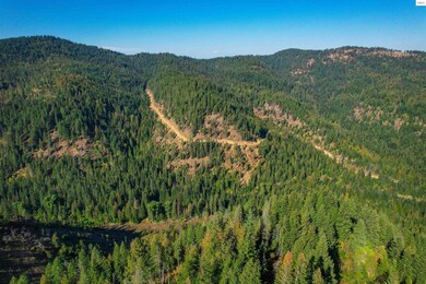 NKA Bodie Canyon Rd, Priest River, ID 83856 - photo 5