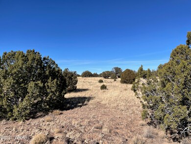 -097 ACR N8492 Concho