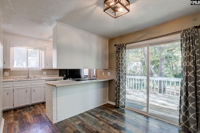 308 Chapelwhite Rd, Irmo, SC 29063 - photo 7