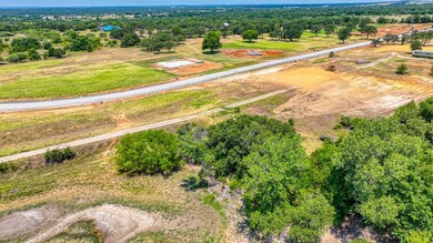 Lot 16 Aslan Rd, Poolville, TX 76487 - photo 2