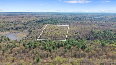 0 Island Rd unit S1604113, Albion, NY 13493 - photo 6