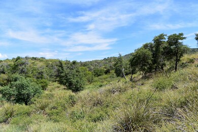 DSC_2354 (2)