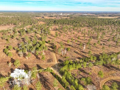 0 Reverend Jw Carter Rd, Manning, SC 29102 - photo 4