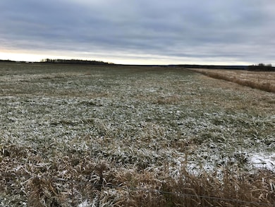 0000 Michigan 48, Rudyard, MI 49780 - photo 3