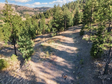 31635 E Ringneck Ln, Davenport, WA 99122 - photo 6