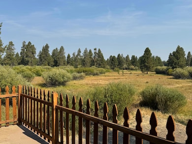 Pathway to the river
