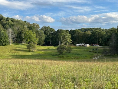 380 Rehm's Mtn Rd, Renick, WV 24966 - photo 7