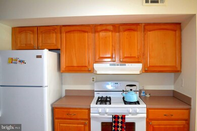 2051 Royal Fern Ct unit 22A, Reston, VA 20191 - photo 4