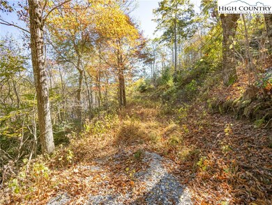 17 Antler Trail, Boone, NC 28607 - photo 6