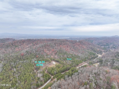 750 Tom White Hollow Rd, Mohawk, TN 37810 - photo 4