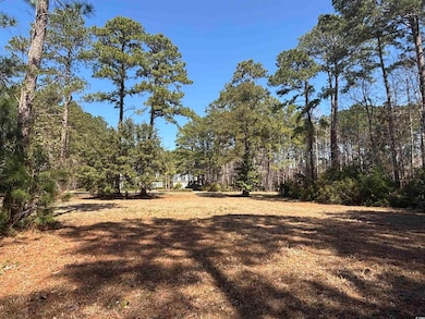 View of yard featuring a wooded view