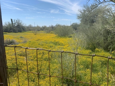 5686 E Red Bird Rd, Scottsdale, AZ 85266 - photo 5