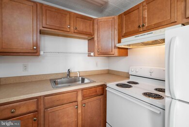 30071 Vines Creek Rd, Dagsboro, DE 19939 - photo 7